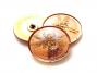31mm Dragonfly Button - Copper Button